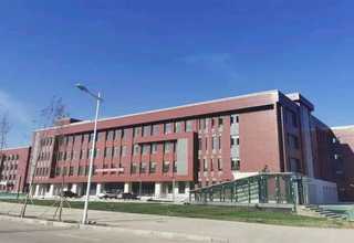 靜安寫字樓植物租賃工程