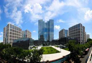 張店有機櫻桃批發