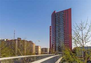 上海有機(jī)小米哪里好